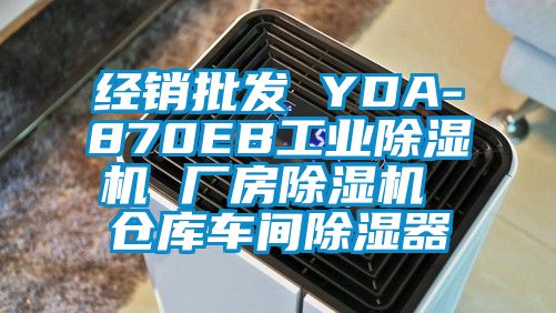 经销批发 YDA-870EB工业除湿机 厂房除湿机 仓库车间除湿器