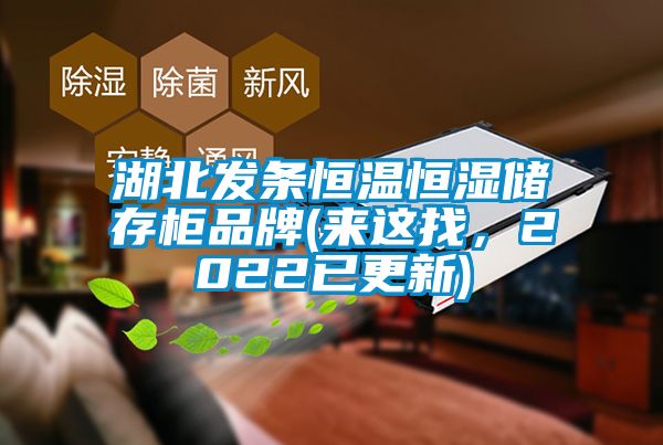 湖北发条恒温恒湿储存柜品牌(来这找，2022已更新)