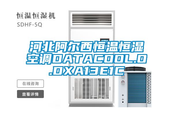 河北阿尔西恒温恒湿空调DATACOOL.O.DXA13E1C