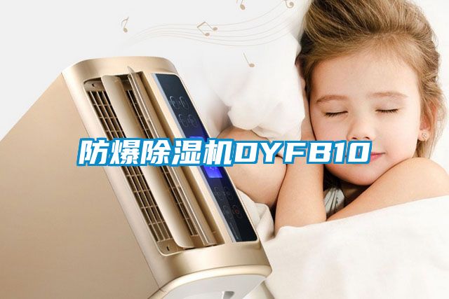 防爆除湿机DYFB10