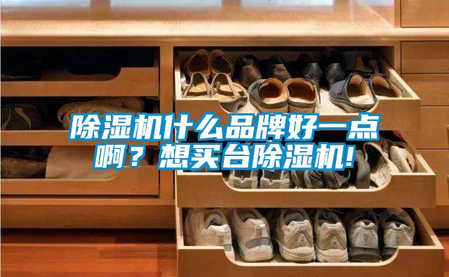 除湿机什么品牌好一点啊？想买台除湿机!