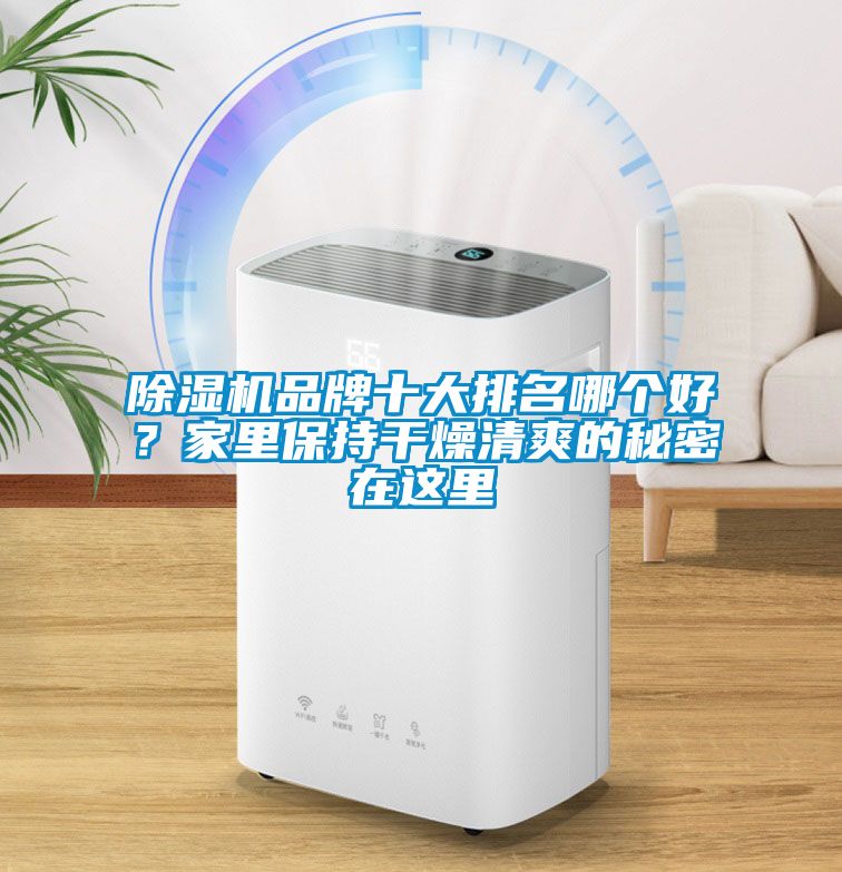 除湿机品牌十大排名哪个好？家里保持干燥清爽的秘密在这里