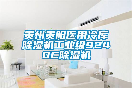 贵州贵阳医用冷库除湿机工业级9240C除湿机