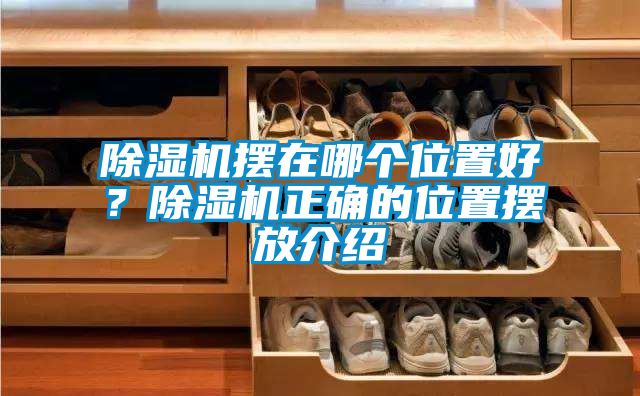 除湿机摆在哪个位置好？除湿机正确的位置摆放介绍